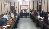 جلسه کارگروه پدافند زیستی غیرعامل با موضوع پشه آئدس و بیماریهای منتقله تشکیل شد.